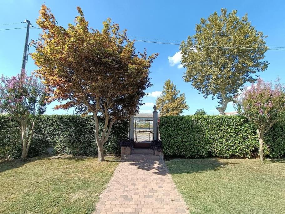 B&B We Care Appartamento Lendinara Extérieur photo